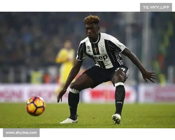 五大联赛对全球足球发展与市场化进程的深远影响分析